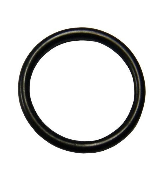 Guarnizione O-Ring 8.9x2.7 x Canna Lavello