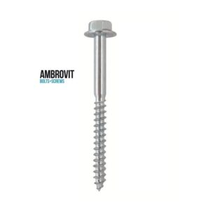 Tirafondi Zincati 6x100 AMBROVIT S/Rondelle